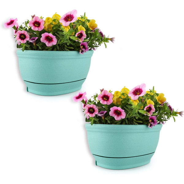 Latitude Run® Plastic Wall Planter Wayfair